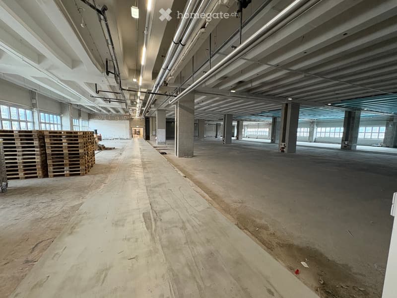 Empty hall way, concrete floor, steel beams, pallets, windows