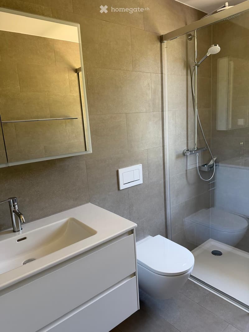 Modern bathroom with a white sink, chrome faucet, large mirror, toilet, and a glass-enclosed shower with a handheld showerhead.