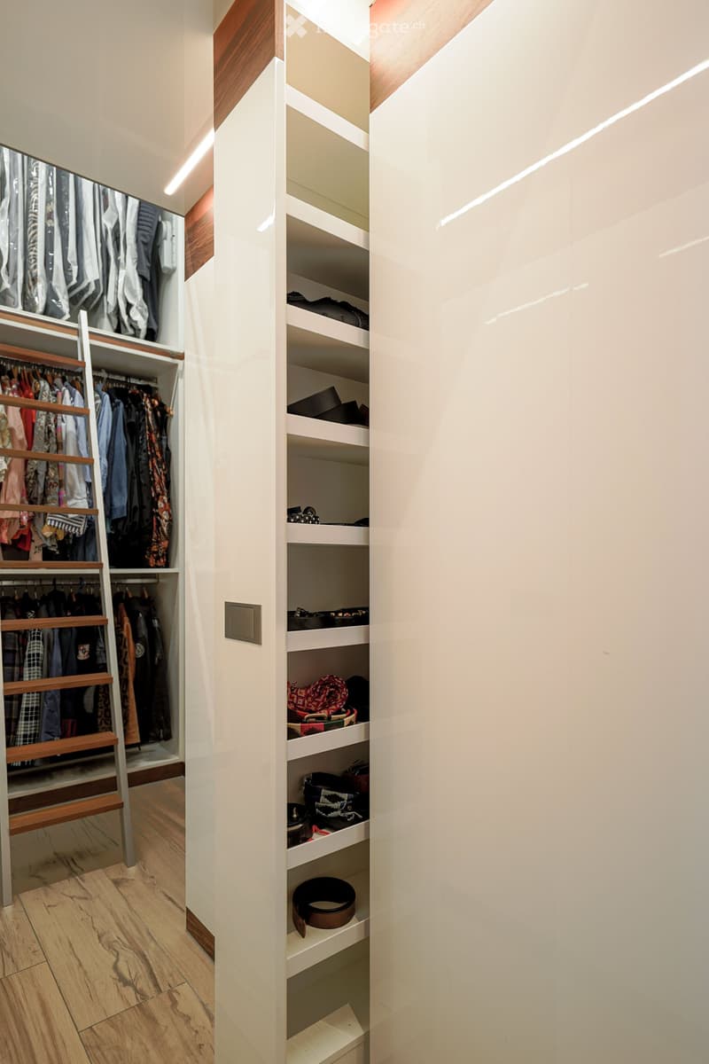 Walk-in closet with metal ladder, shelves, and storage compartments.