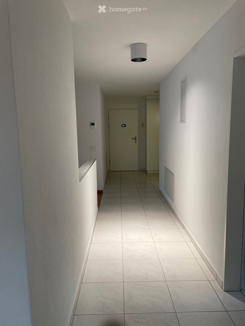 Frisch renovierte Wohnung an zentraler Lage (13)