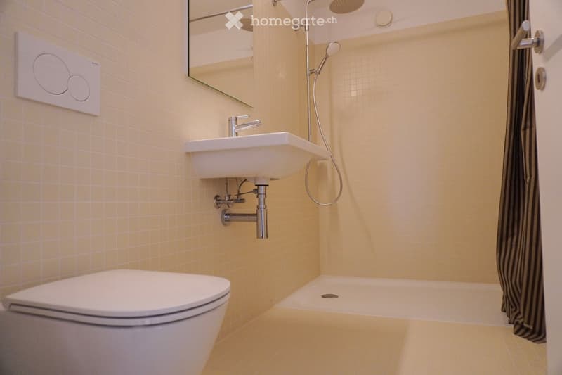 Tiled walls, white sink, shower with shower head and hand-held shower, mirror, tiled floor, white toilet, shower curtain, curtain rod.