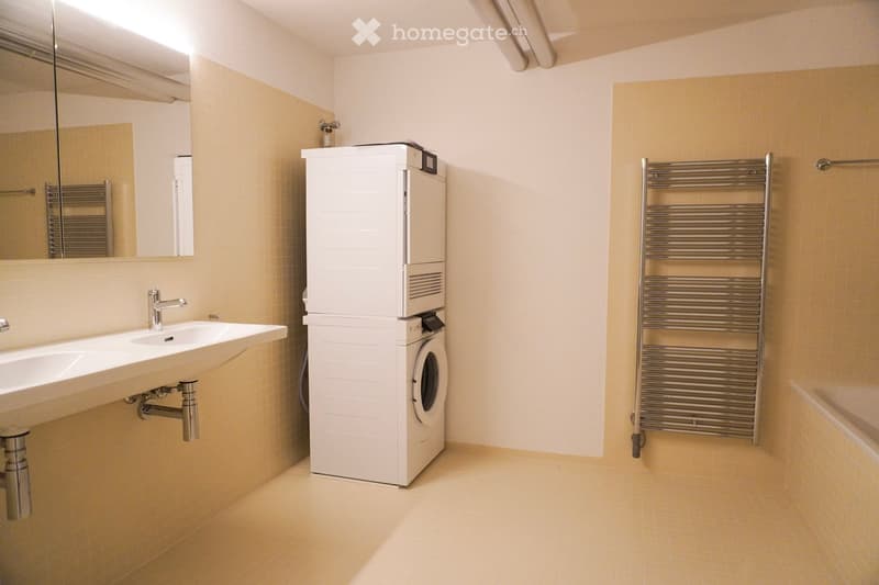 Double sink, washing machine, dryer, bathtub, radiator