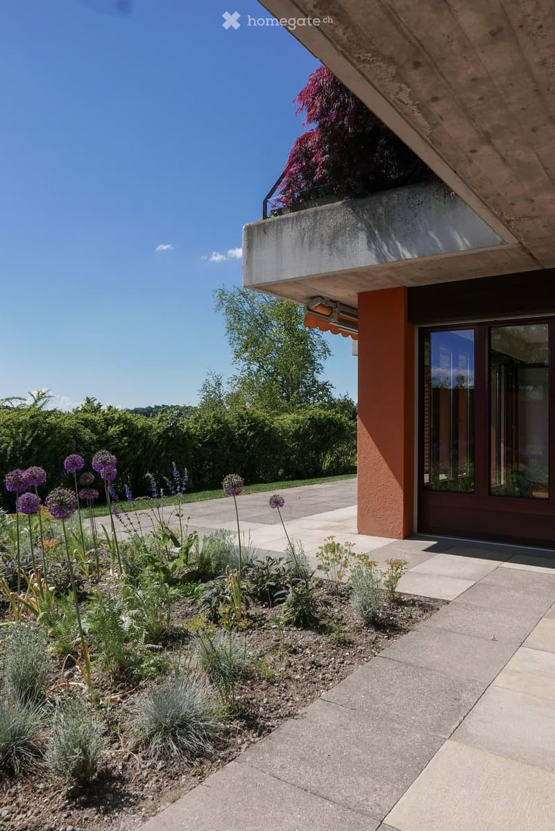Garden area with a variety of plants and flowers, including tall purple blooms, shrubs, and small trees, bordered by a concrete pathway leading to a modern house entrance.