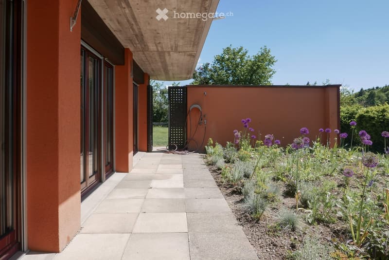 Modern outdoor area with a concrete pathway, orange-colored walls, and a garden bed filled with purple flowers and shrubs. A black metal trellis and a hose reel are visible near the wall.