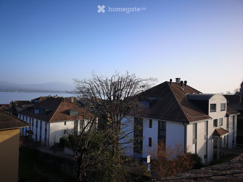 Residential building with brown roofs, white exterior walls, located with a scenic view of mountains and a lake