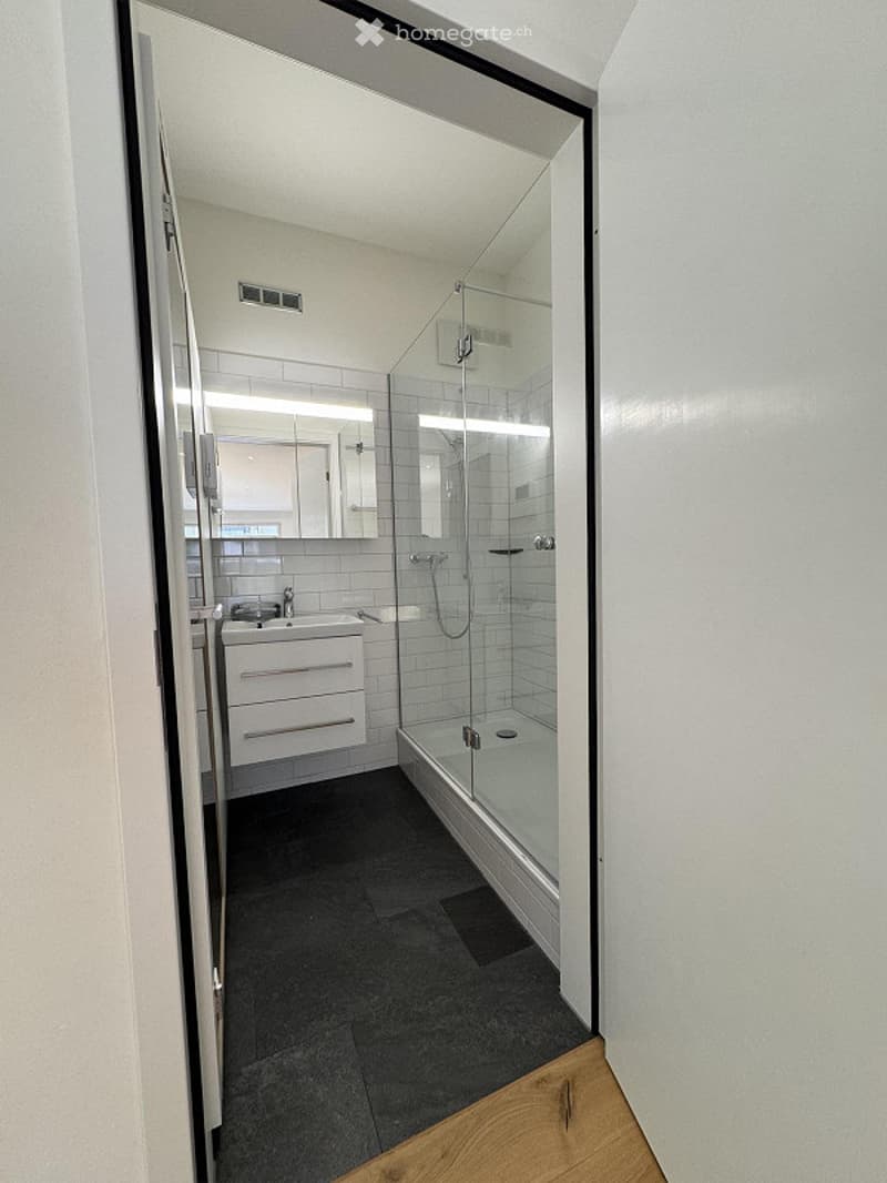 A modern bathroom with a glass shower enclosure, white tiles, a white vanity, and a mirror above the vanity.
