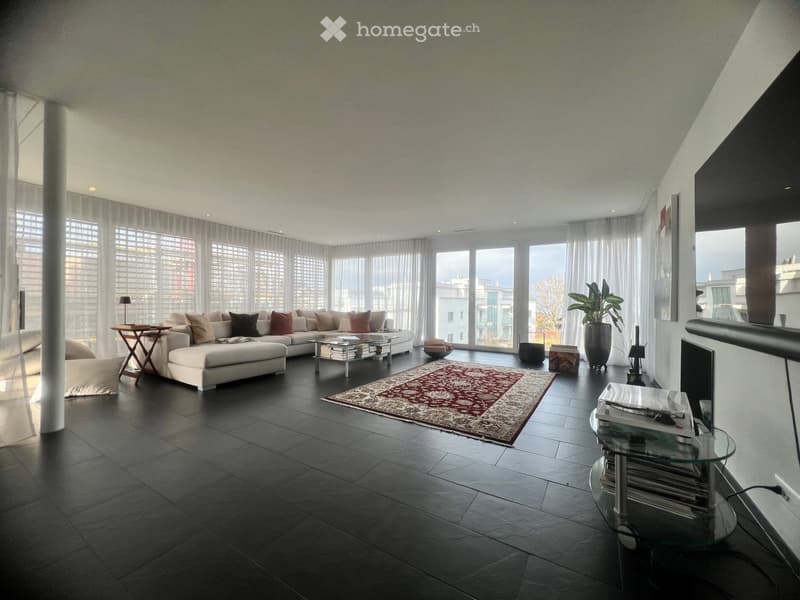 Spacious living room, large windows, white sofa, coffee table, rug, potted plant, TV
