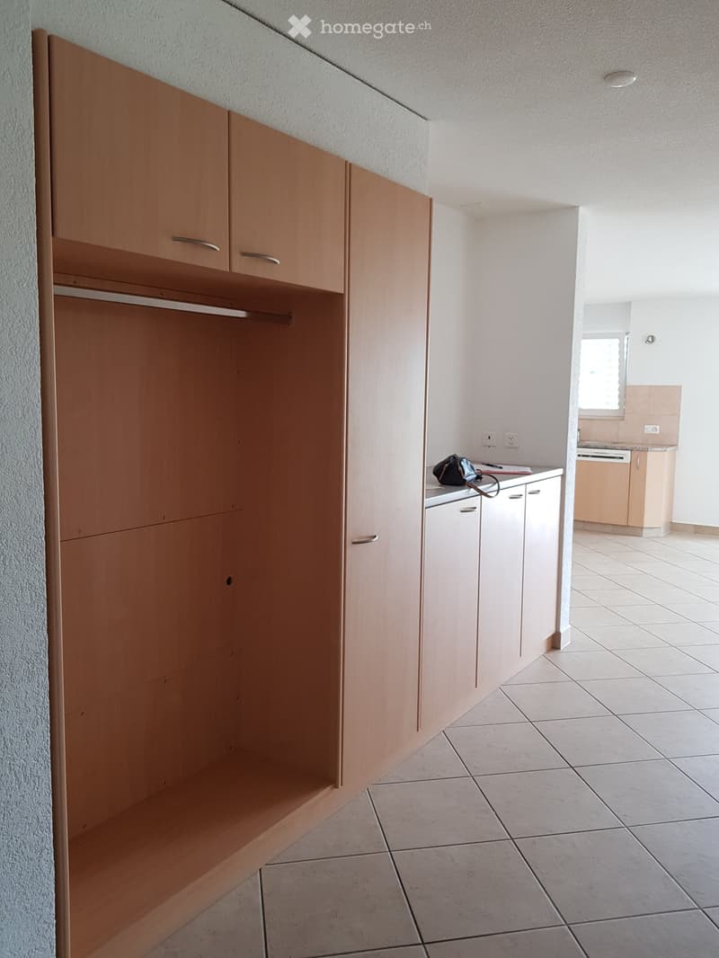 Large built-in wardrobe, cabinets, counter with electric outlets, and dishwasher.
