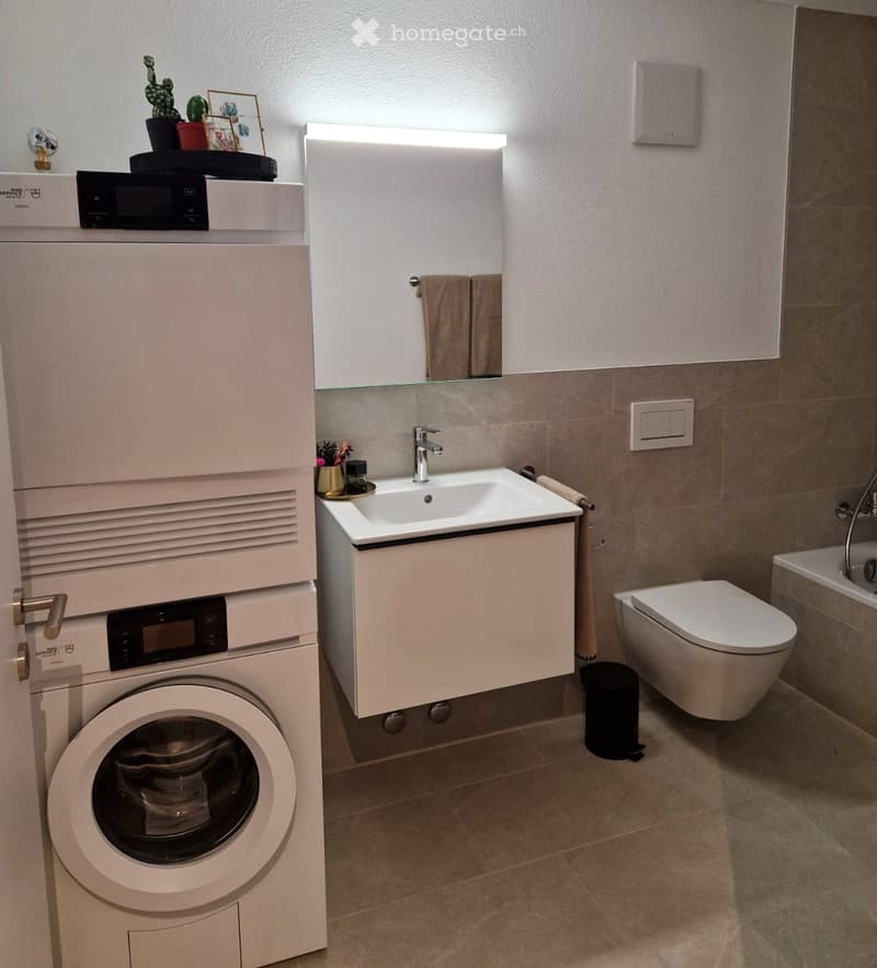 Modern bathroom with a white sink, mirror, toilet, washing machine, and decorative items on top of the washing machine.
