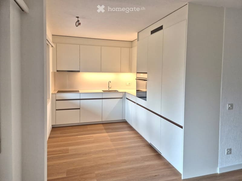modern kitchen, white cabinetry, wood flooring, stainless steel faucet, built-in oven and dishwasher, under-cabinet lighting