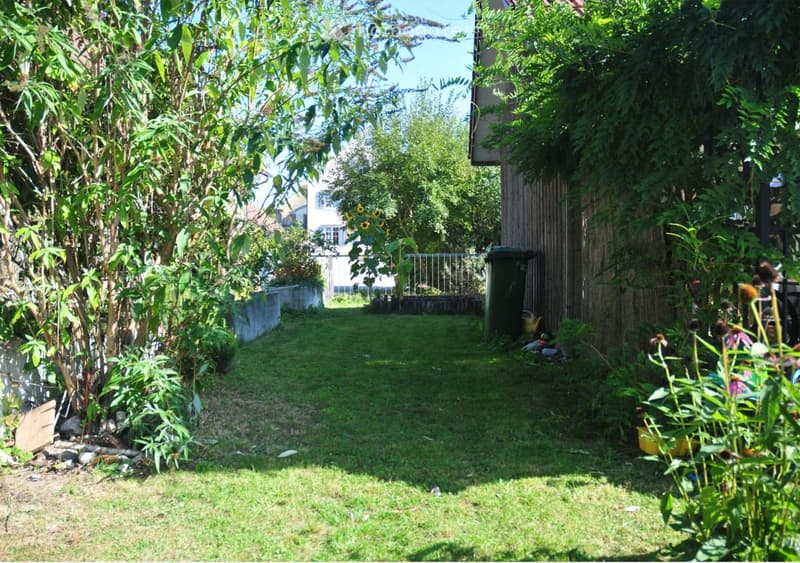 small backyard with green grass, trees, plants, and concrete barriers
