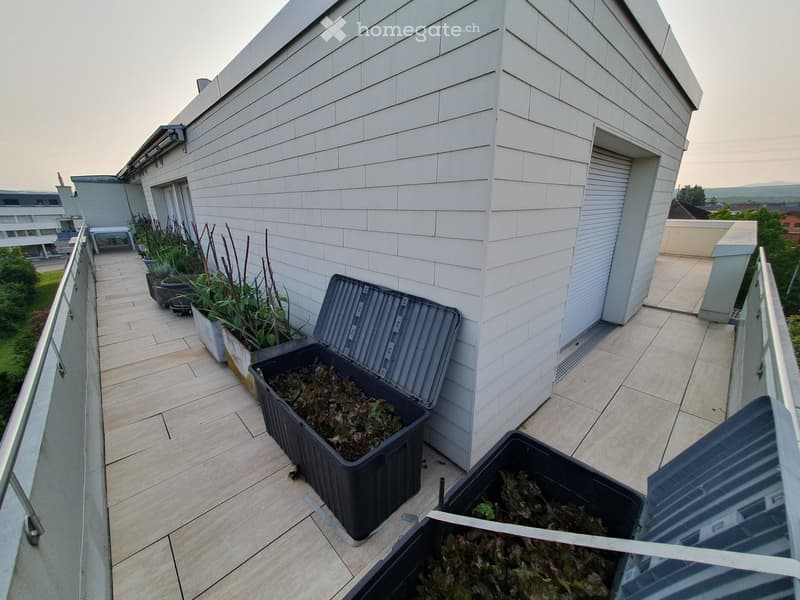large balcony, wooden flooring, metal railings, storage bins, several plants