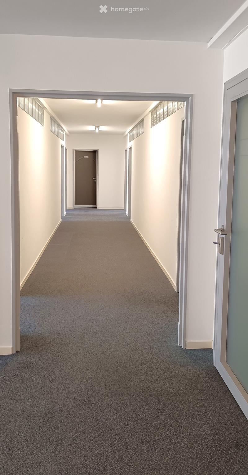 Empty hallway, gray carpet, white walls, ceiling lights, doors on both sides