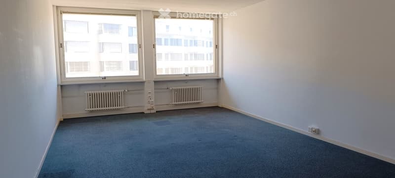 empty room, white walls, blue carpet, two windows, two radiators