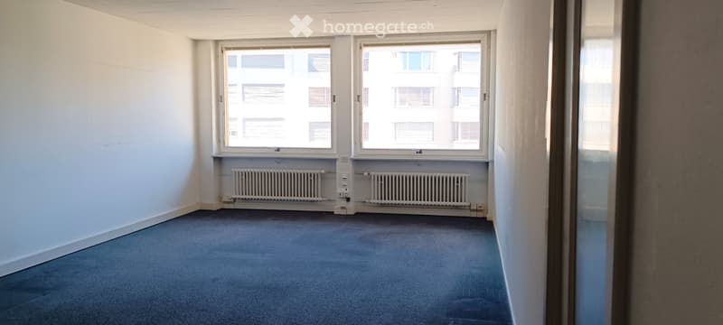 Empty room with white walls, blue carpet, two windows, and two radiators