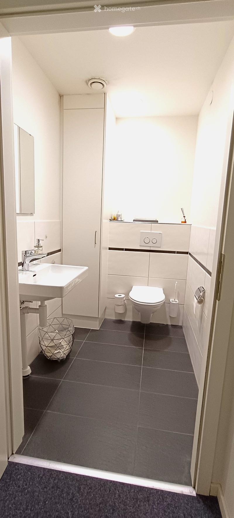 Small modern bathroom with toilet, sink, and a shower, grey tiles