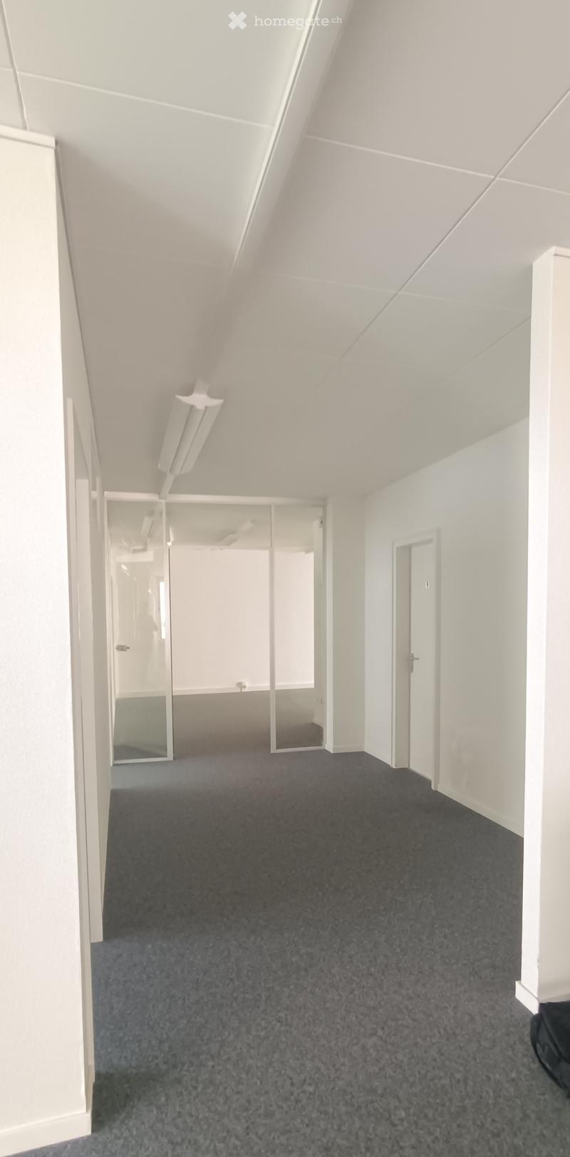 Empty room, white walls, gray carpet, glass doors, white ceiling