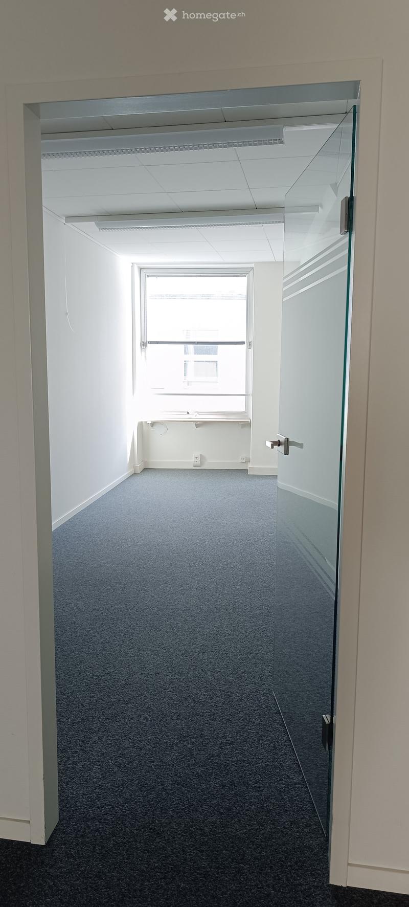 Empty room with white walls, gray carpet, glass door, window, ceiling lights
