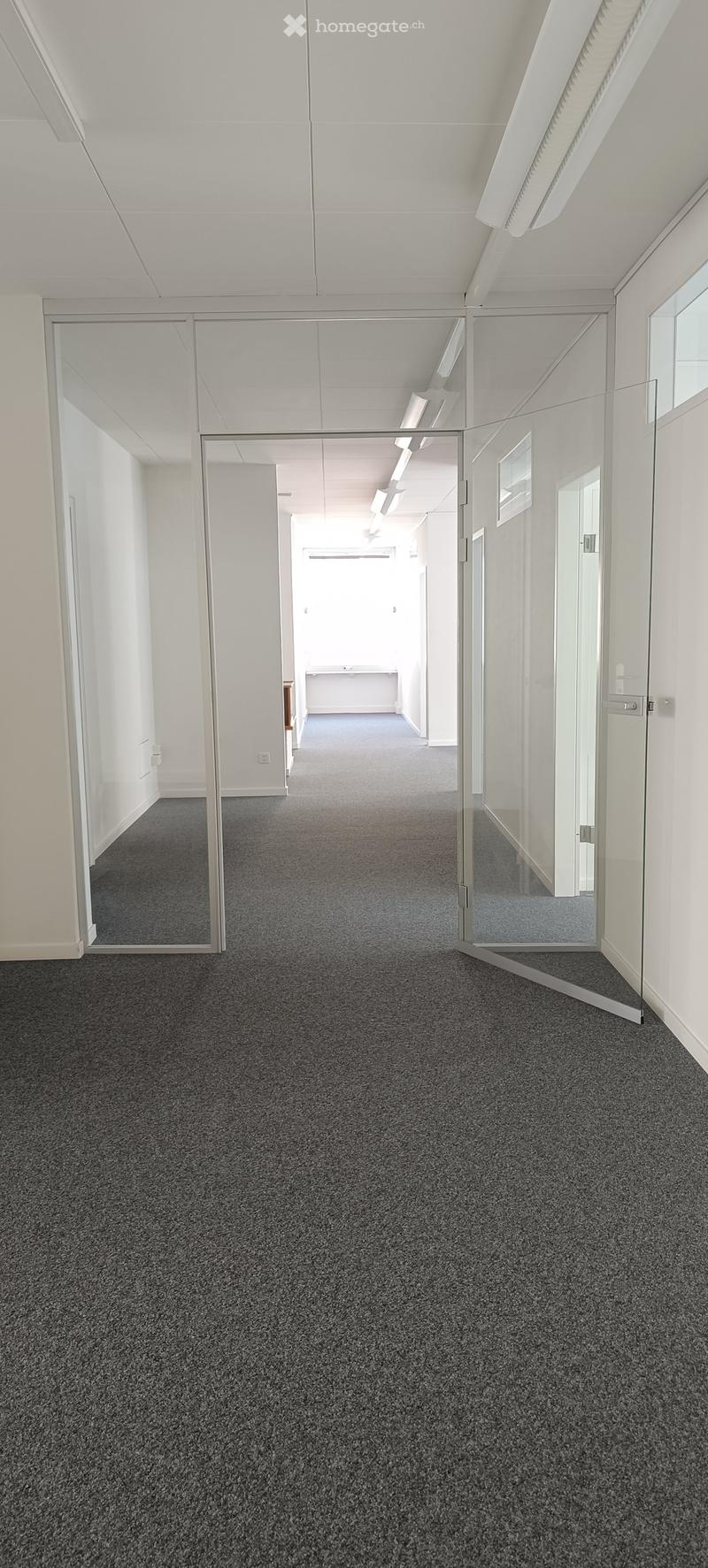empty room, gray carpet, glass walls, white walls, ceiling lights