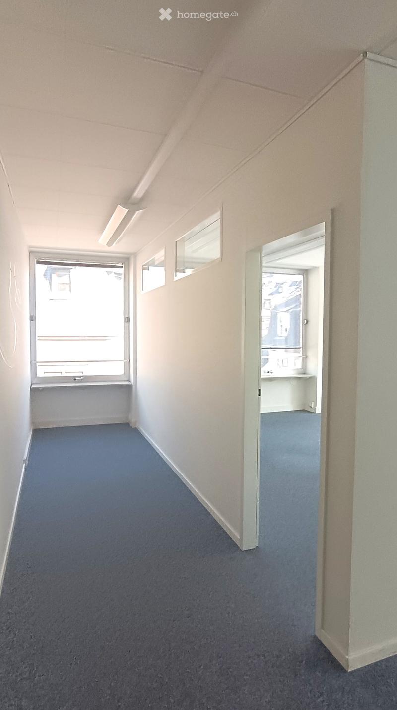 Empty room with white walls, blue carpet, windows, and a ceiling light