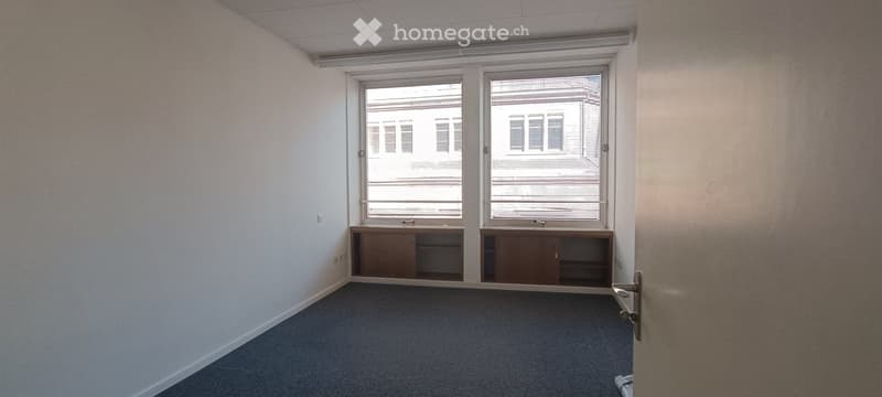 empty room, white walls, blue carpet, two windows, wooden cabinets