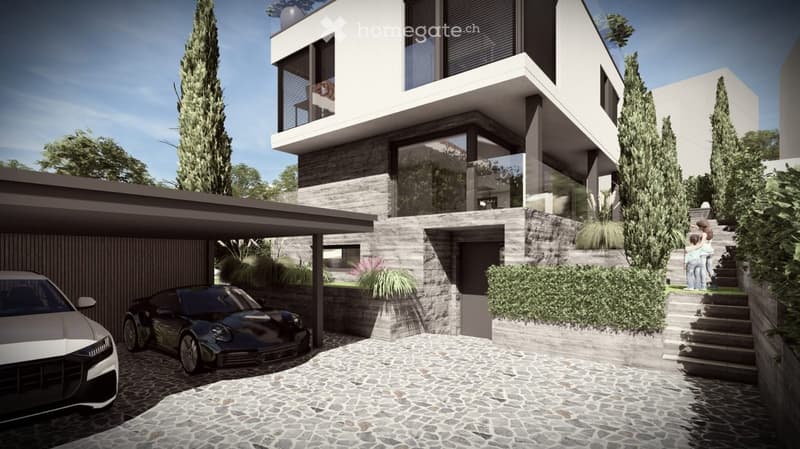 modern house, grey stone wall, carport, paved driveway, trees and plants
