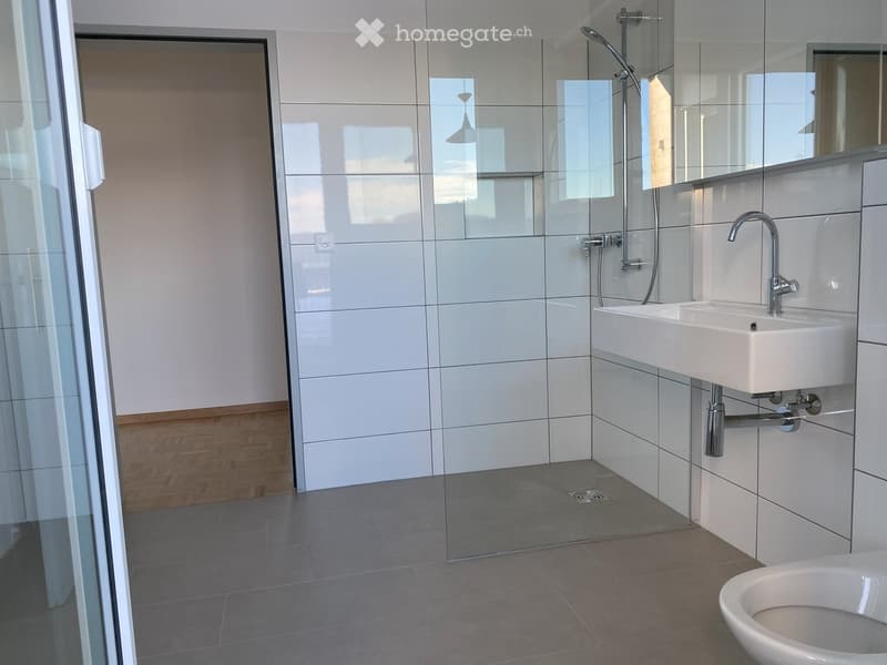 modern bathroom with walk-in shower, white tiles, white sink, toilet, faucet, shower head