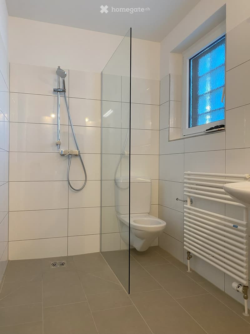 modern bathroom with shower, toilet, radiator, and sink