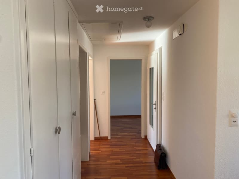 Wooden floor, hallway with closets, white walls, doors on either side, and a light in the ceiling.