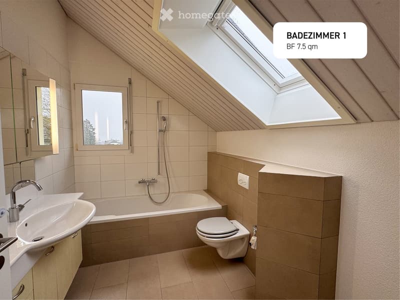 modern bathroom with a bathtub, toilet, sink, mirror, ceiling fan, and small window