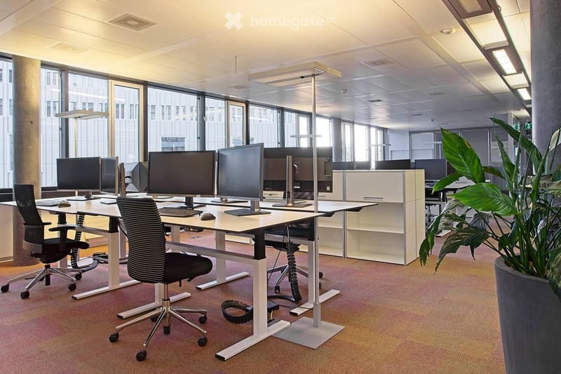 White desk, computer monitors, chairs, white cabinets, carpeted floor, indoor plants