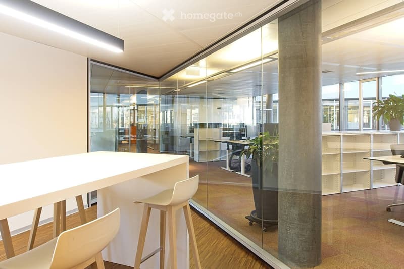 modern office interior, glass walls, white chairs, desks, shelves, plants