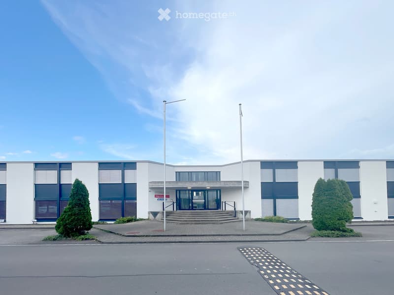 Modern building with white walls and blue trim, entrance stairs, entrance with glass doors, flag poles, greenery.