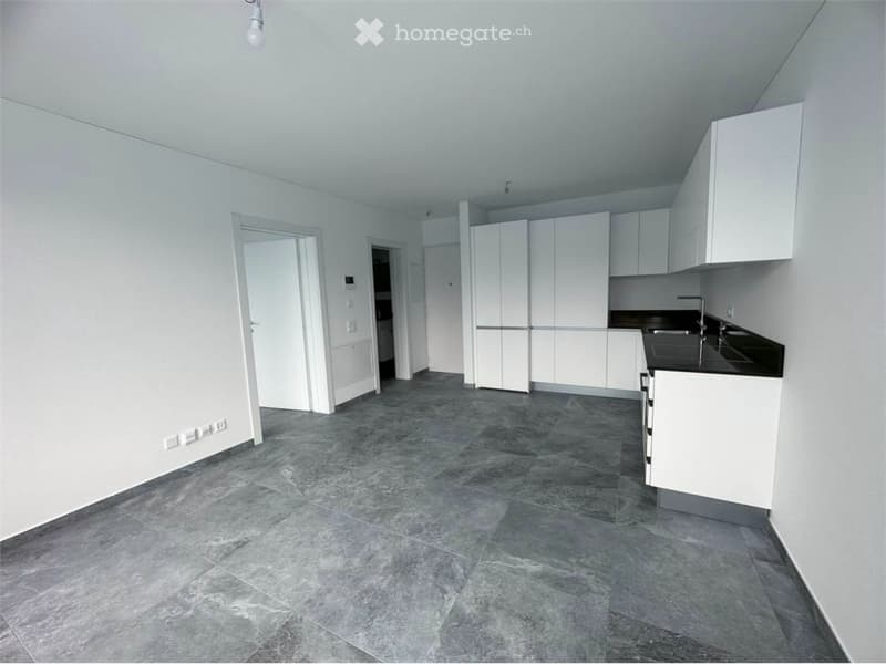 Empty room, white walls, gray floor, white cabinets, white doors, gray tiles, black countertop, modern style