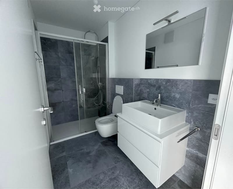 Glass shower door, white sink, white toilet, white cabinet, mirror