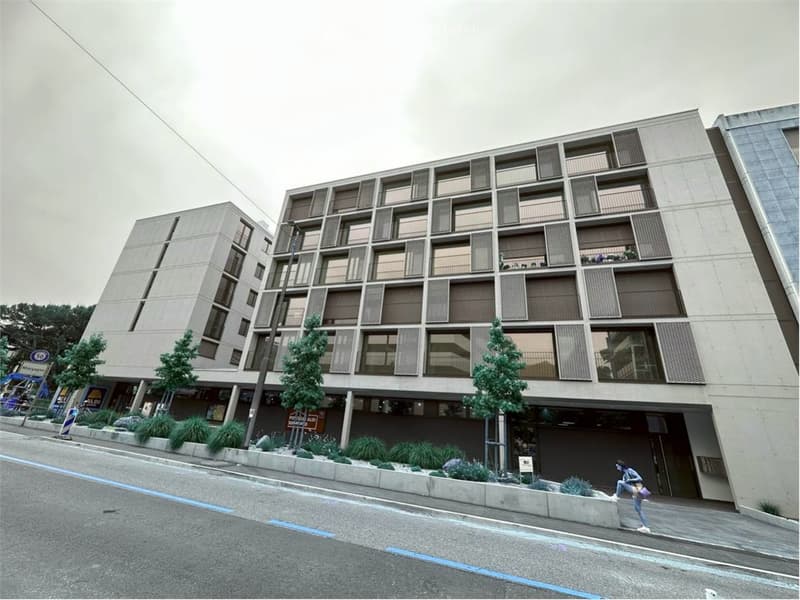 Moderno appartamento di 2.5 locali con reddito locativo stabile a Massagno, Lugano (13)