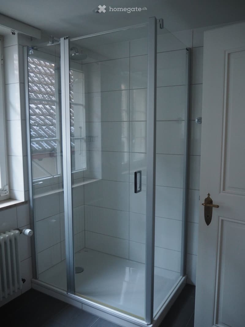 Tiled walls, glass shower enclosure, white tiled floor, door with golden handle, white radiator
