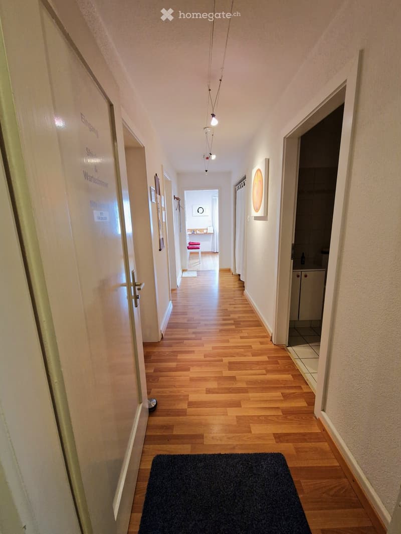 wooden floor, white walls, closed doors, hallway lighting, entrance carpet