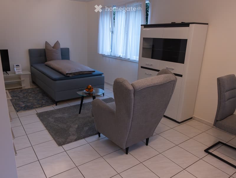 blue daybed, gray armchair, gray rug, glass coffee table, cabinet, white tiles, white walls