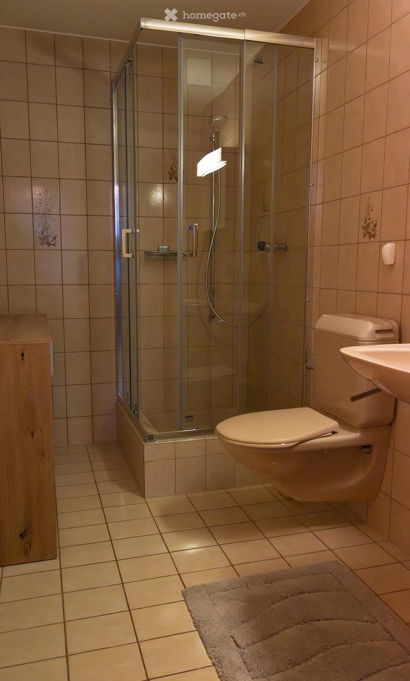 shower cubicle, toilet, sink, tile flooring, wooden cabinet