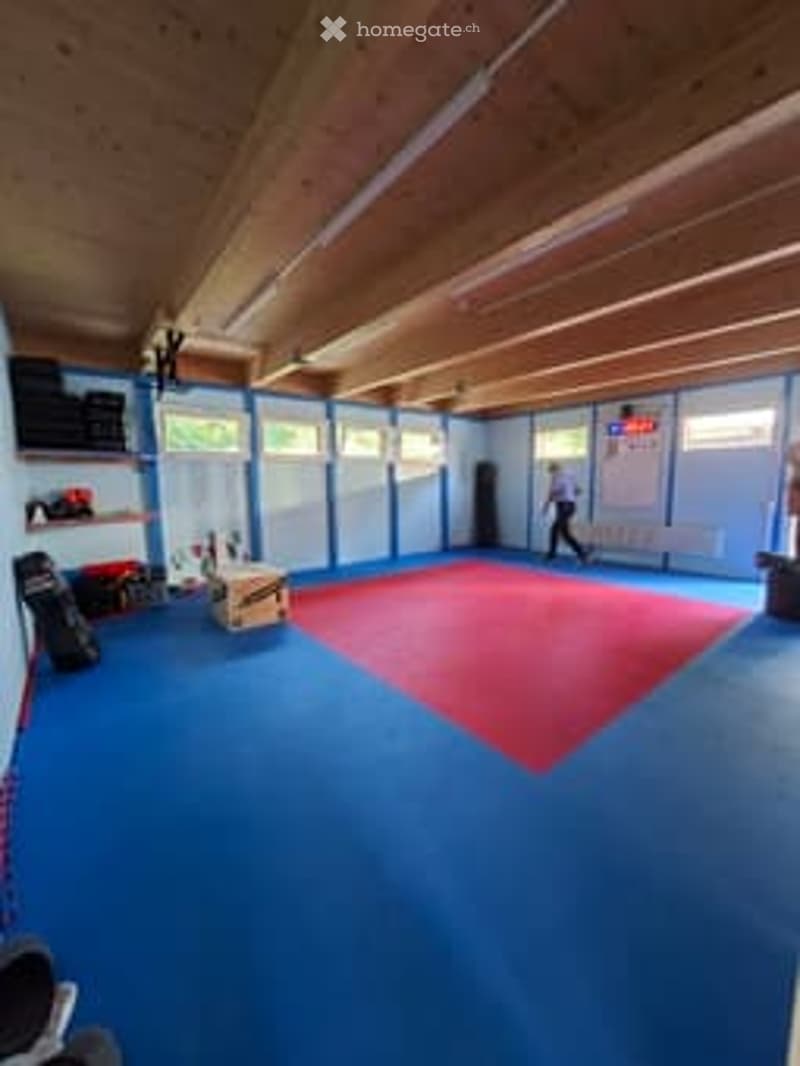 blue flooring, red floormat, wooden ceiling, equipment in the room
