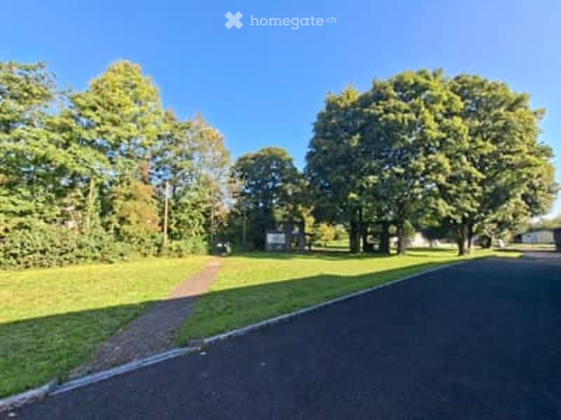 green lawn, large mature trees, small garden shed, asphalt pathway, empty street