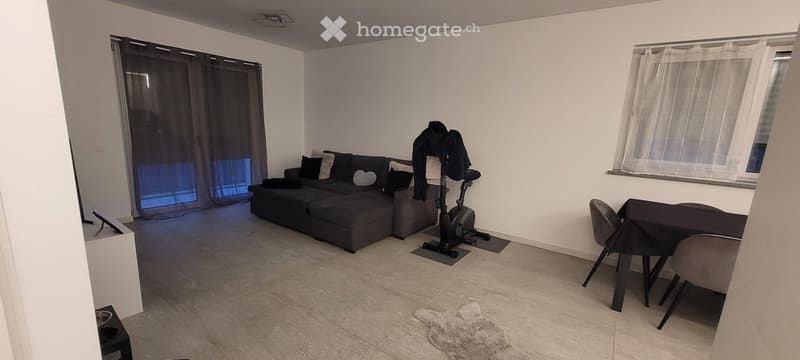 large sofa with pillows, dining table, window, wooden floor, rug, black exercise bike