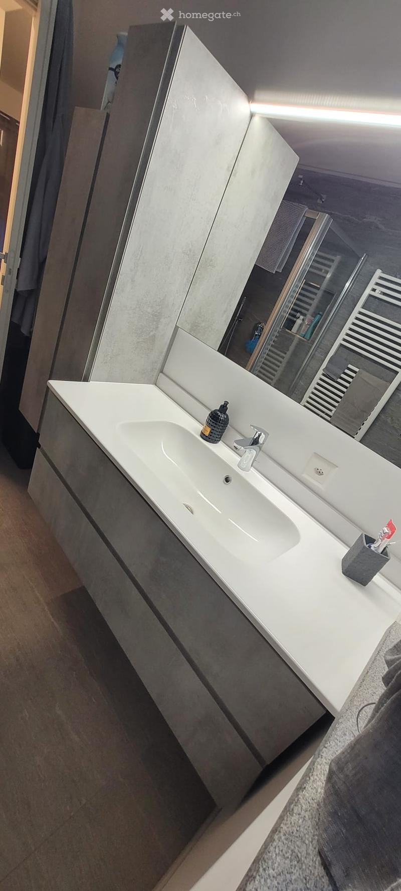 Bathroom with silver cabinet, white countertop, sink, silver faucet, mirror, towel radiator
