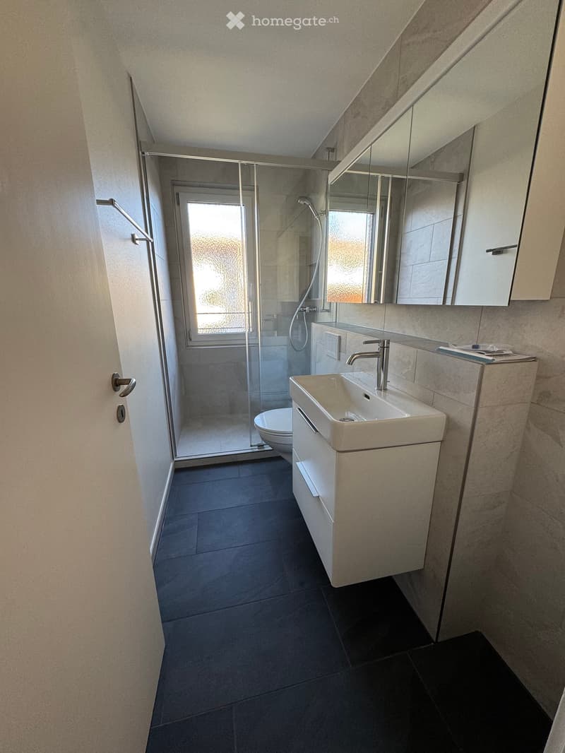 Bathroom with a shower, sink, mirror, and toilet