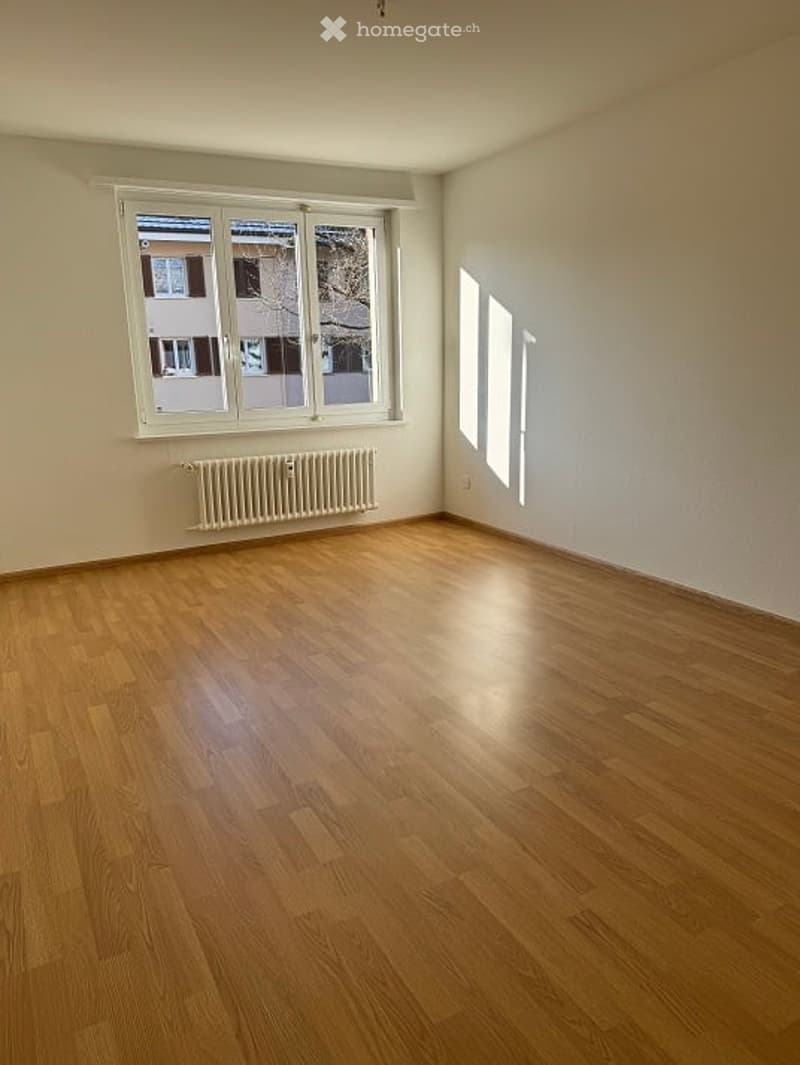 Wooden floor, white walls, double glass windows, white radiator