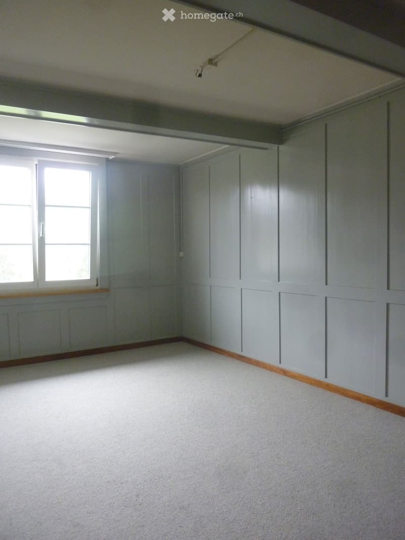 Empty room, white walls and carpet floor, double window, wooden panels on walls.