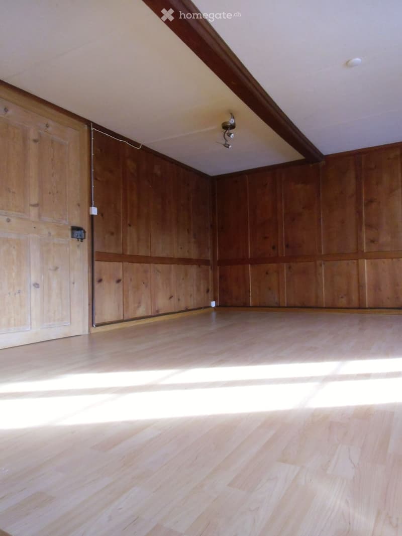 empty room, wooden flooring, wooden walls, door, lighting fixture
