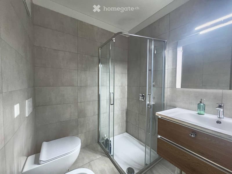 modern bathroom, glass shower, white walls, modern sink, white toilet, brown cabinet, soap dispenser