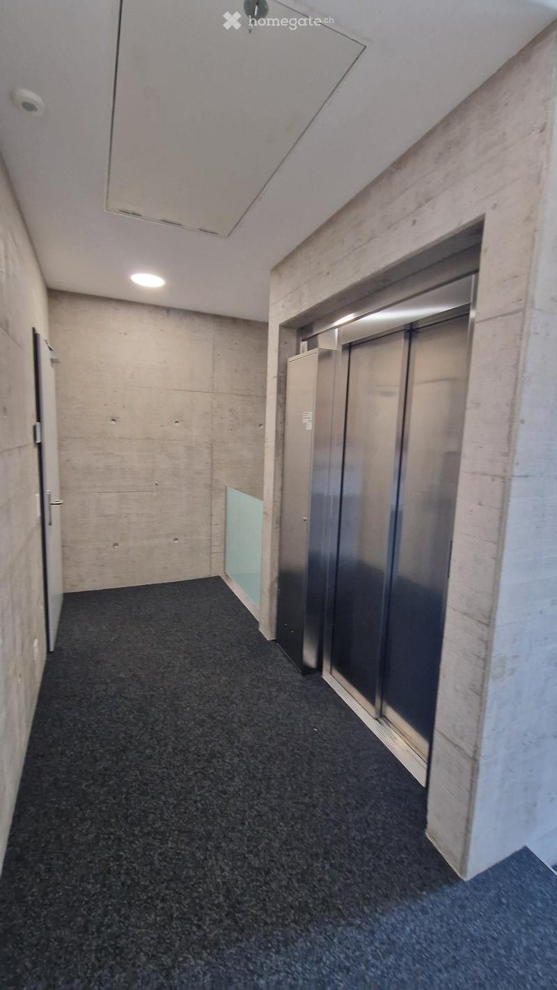 Modern hallway with concrete walls, carpeted floor, elevator, and recessed lighting.